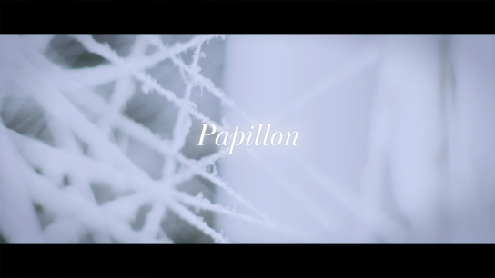 氷川きよし「Papillion」